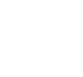 Searidge